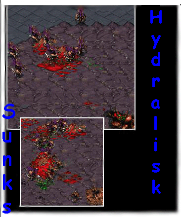 The-Nut's Hydralisk's kill half of Sabotage_'s expansion. Sabotage_ used the Burrow skill very wisely.